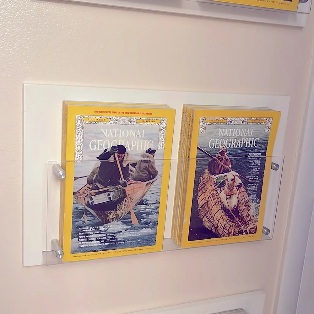 Cb2 vintage magazine wall holder